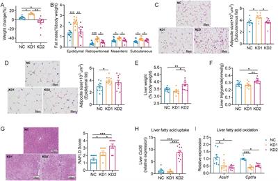 The gut microbiota changed by ketogenic diets contribute to glucose intolerance rather than lipid accumulation